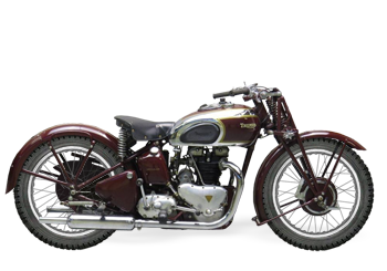 Tiger 100
